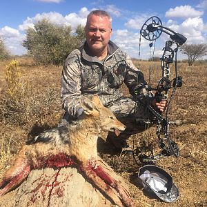 Bow Hunting Jackal in Namibia