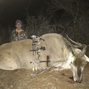 Livingstone Eland Bow Hunt Namibia