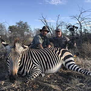 Namibia Bow Hunt Hartmann's Mountain Zebra