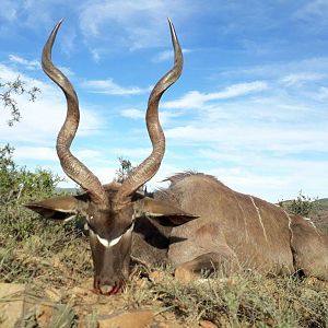 Hunting Kudu in South Africa