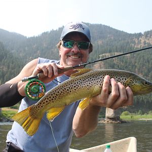 Western Montana Fishing Clark Fork Brown Trout