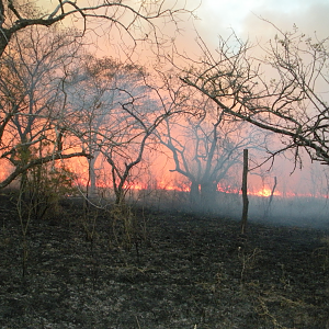 Sssisting Roche burn a block on his farm