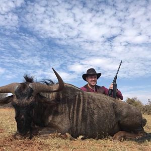 Blue Wildebeest Hunt in South Africa