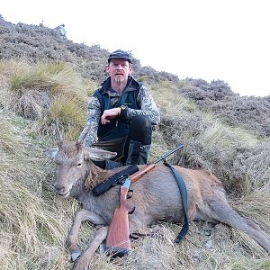 New Zealand Hunting Deer
