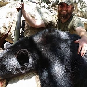 Hunting Black Bear
