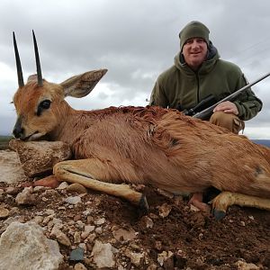 South Africa Hunt Steenbok