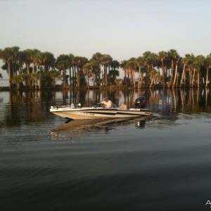 Florida morning on the lake