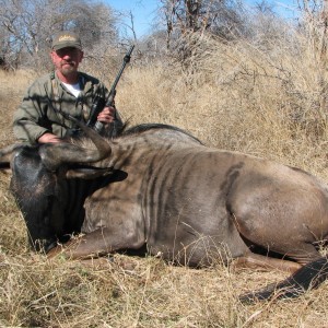 Blue Wildebeest Limpopo River Area