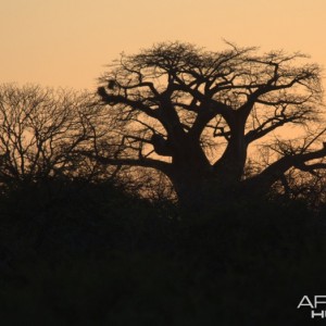 Impressions from Africa