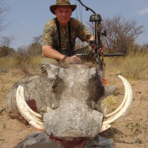 Bowhunting Warthog in South Africa