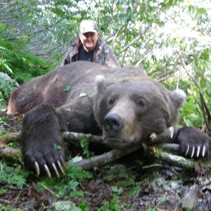 Hunting Brown Bear