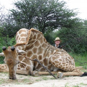 Hunting Giraffe in Namibia