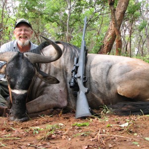 Nyass Wildebeest