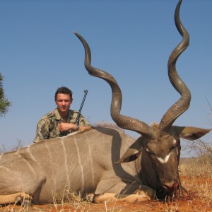 59 inch Southern Greater Kudu
