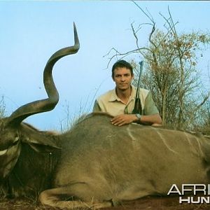56 inch Southern Greater Kudu