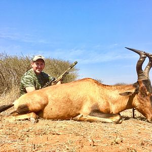 Hunt Red Hartebeest South Africa