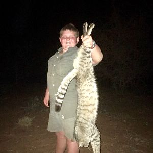 South Africa Hunting African Wild Cat