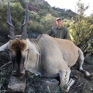 South Africa Hunting Bushbuck