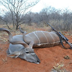 56" Inch Kudu Hunt Namibia