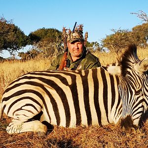 Burchell's Plain Zebra Hunting South Africa