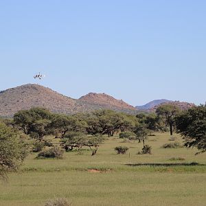 Kalahari Area Namibia