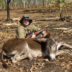Australia Hunting Feral Donkey