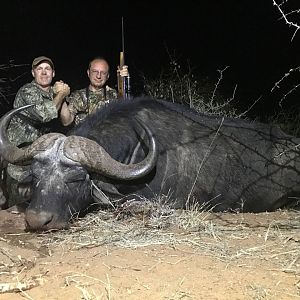 South Africa Hunting Cape Buffalo
