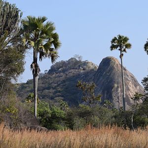Tanzania Hunting Area