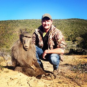 South Africa Hunt Baboon