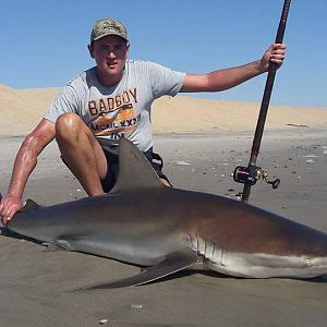 Namibia Fishing Bronze Whaler Shark