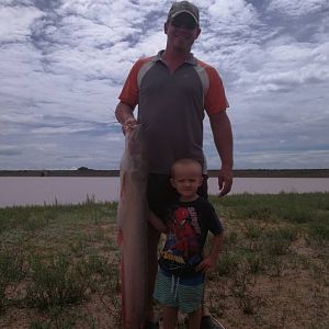 Namibia Fishing Freshwater Catfish