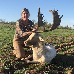 Hunting White Fallow Deer in Texas USA