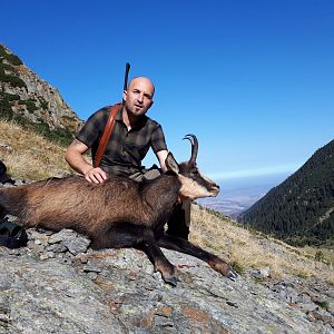 Romania Hunt Carpathian Chamois