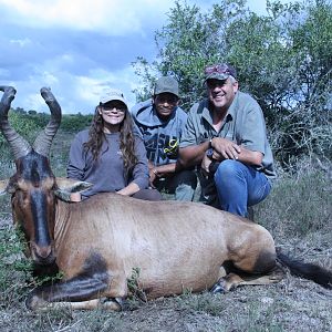 Red Hartebeest Hunting South Africa