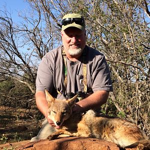 South Africa Hunt Jackal