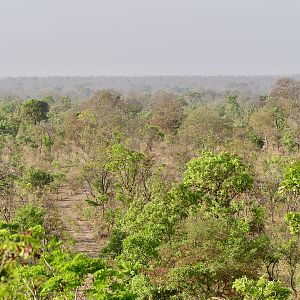 Hunting Area in Burkina Faso