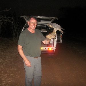 Bird Hunting using a Falcon