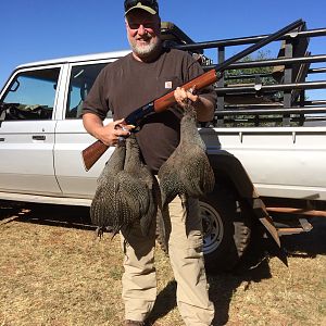 Bird Hunting Guineafowl in South Africa