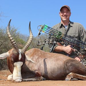 Bow Hunt Blesbok in South Africa