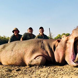 Hippo Hunt Zambia