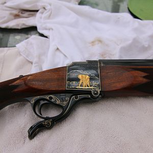 Hollis 800x3 inch Double Rifle