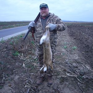 Hare Hunt in Romania