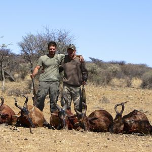 Hunt Red Hartebeest in Namibia