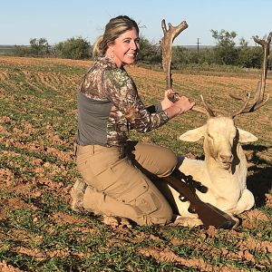 Hunting Fallow Deer in Texas USA