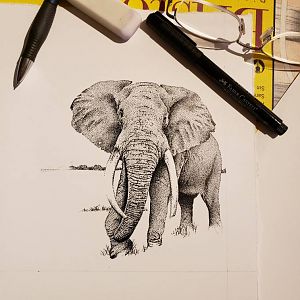 Elephant Art Drawings