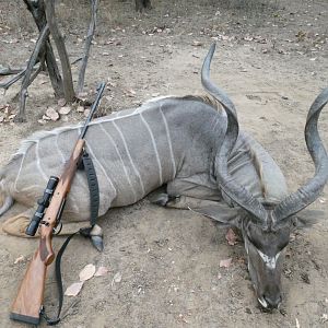 Kudu Hunting Zambia