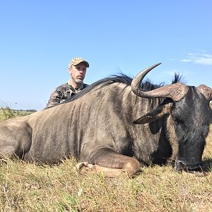 Hunting Blue Wildebeest in South Africa