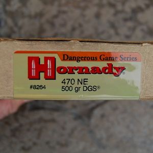 Hornady .470 gr DGS 500 grain solids