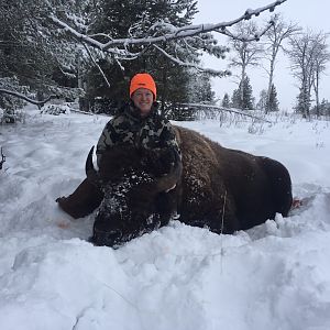 Bison Hunt Wyoming