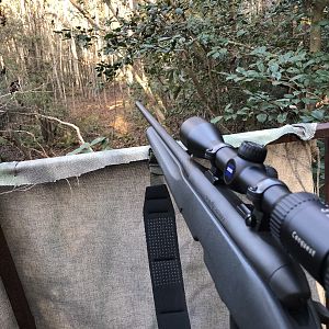 Steyr Pro Hunter Rifle 270, Zeiss Conquest 3-9x40 Riflescope